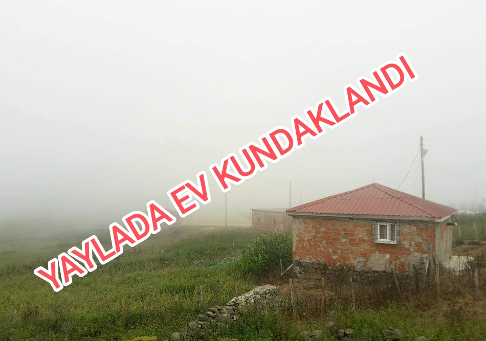 Aybastı yaylasında ev kundaklandı