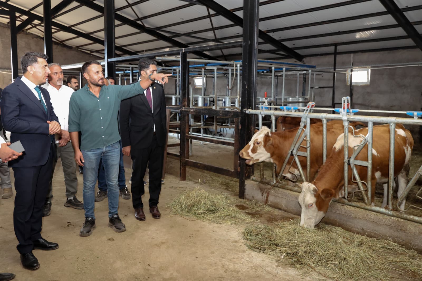 60 büyükbaş süt hayvanı kapasiteli modern tesis üretime katkı sağlıyor 60 büyükbaş süt hayvanı kapasiteli modern tesis üretime katkı sağlıyor