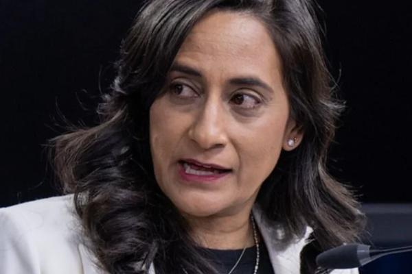 Bakan Anand, Işık Festivalini kutladı