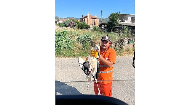 Belediye İşçisi, Görevi Sırasında Bulduğu Yaralı Leyleğin İmdadına Yetişti Belediye İşçisi, Görevi Sırasında Bulduğu Yaralı Leyleğin İmdadına Yetişti