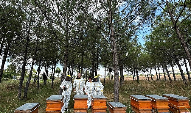 Bilinçli üretim, Kocaeli'nin balını Türkiye'ye taşıyor Bilinçli üretim, Kocaeli'nin balını Türkiye'ye taşıyor
