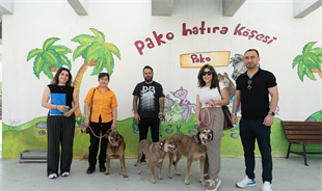 Bir proje, üç dost, hiç kopmayan bağ Bir proje, üç dost, hiç kopmayan bağ