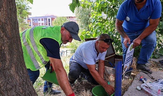 Buca Belediyesi'nden sokak hayvanlarına can suyu Buca Belediyesi'nden sokak hayvanlarına can suyu