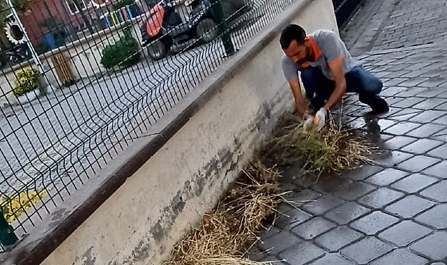 Burhaniye'de Mazgal Temizliği Çalışmaları Titizlikle Sürüyor Burhaniye'de Mazgal Temizliği Çalışmaları Titizlikle Sürüyor