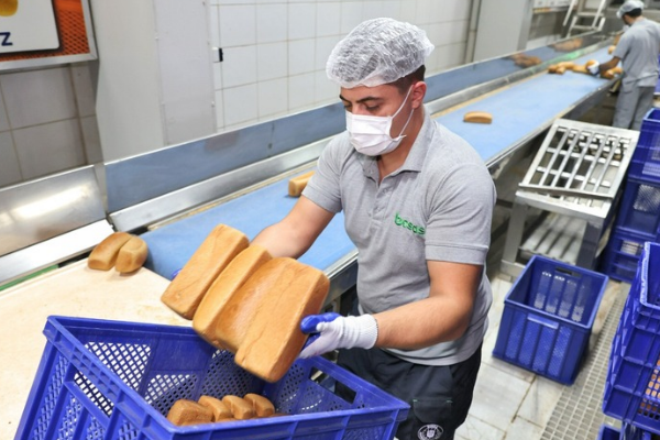 Bursa’da siyez buğdayı üreticisine ve tüketiciye destek Bursa’da siyez buğdayı üreticisine ve tüketiciye destek
