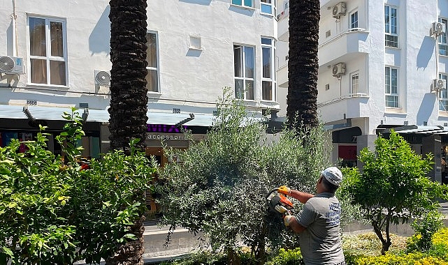 Büyükşehir ekiplerinden Kemer Liman Caddesi'nde çalışma Büyükşehir ekiplerinden Kemer Liman Caddesi'nde çalışma