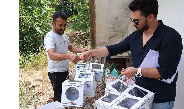 Büyükşehir'den 800 dekar araziye faydalı böcek desteği Büyükşehir'den 800 dekar araziye faydalı böcek desteği