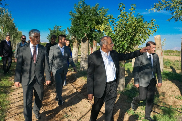 Büyükşehirden yıllık 20 bin fidan ile 50 bin metrekare rulo çim üretimi Büyükşehirden yıllık 20 bin fidan ile 50 bin metrekare rulo çim üretimi