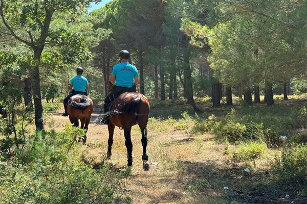 Çanakkale’de 2 ayda 44 orman yangını çıktı Çanakkale’de 2 ayda 44 orman yangını çıktı