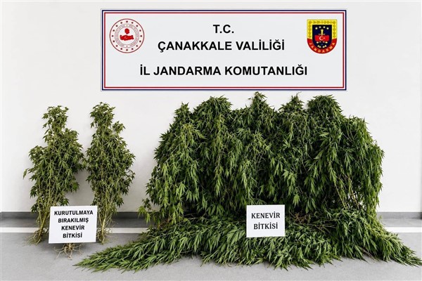 Çanakkale’de uyuşturucu operasyonu Çanakkale’de uyuşturucu operasyonu