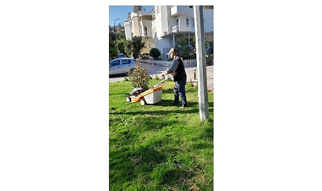 Didim Belediyesi Kent Genelinde Çevre Bakım Çalışmalarını Sürdürüyor Didim Belediyesi Kent Genelinde Çevre Bakım Çalışmalarını Sürdürüyor
