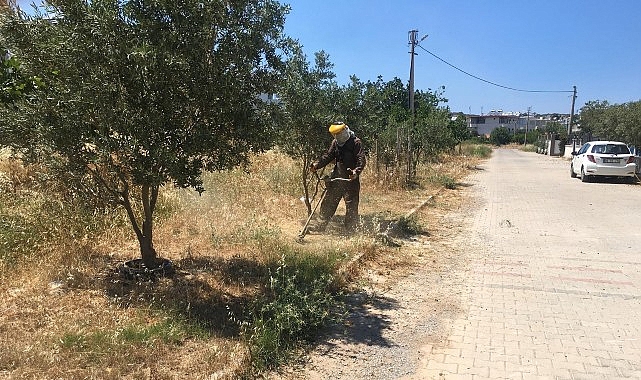 Didim Belediyesi Yeşil Alanlarda Bakım Çalışmalarını Sürdürüyor Didim Belediyesi Yeşil Alanlarda Bakım Çalışmalarını Sürdürüyor