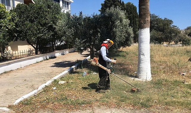 Didim Belediyesi'nden Kente Özenli Dokunuş: Kendi Üretimi Çiçekler Toprakla Buluşuyor Didim Belediyesi'nden Kente Özenli Dokunuş: Kendi Üretimi Çiçekler Toprakla Buluşuyor