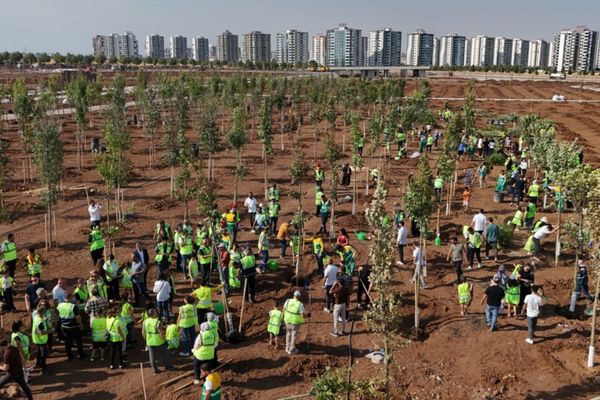 Diyarbakır’da binlerce fidan toprakla buluştu Diyarbakır’da binlerce fidan toprakla buluştu
