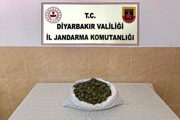 Diyarbakır’da jandarma operasyonlarında 253 bin kök kenevir skunk ele geçirildi Diyarbakır’da jandarma operasyonlarında 253 bin kök kenevir skunk ele geçirildi