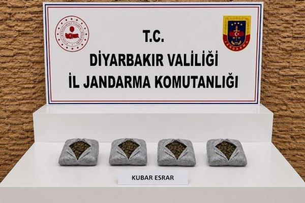 Diyarbakır’da uyuşturucu operasyonlarında 57 bin 702 kök kenevir ele geçirildi Diyarbakır’da uyuşturucu operasyonlarında 57 bin 702 kök kenevir ele geçirildi