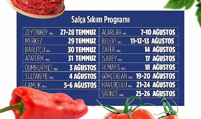 Efes Selçuk'ta kışlık salça hazırlıkları başlıyor Efes Selçuk'ta kışlık salça hazırlıkları başlıyor