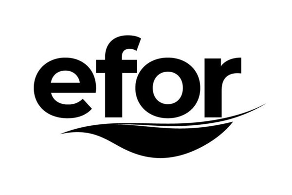 Efor Holding, yabancı yatırımcıdan EFOR payını satın alacak Efor Holding, yabancı yatırımcıdan EFOR payını satın alacak