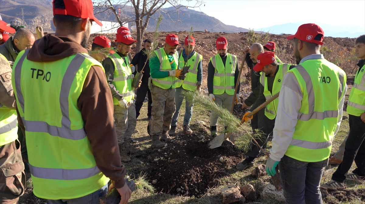 Enerji ve Tabii Kaynaklar Bakanlığı, Şırnak Gabar'da fidan dikim seferberliği başlattı