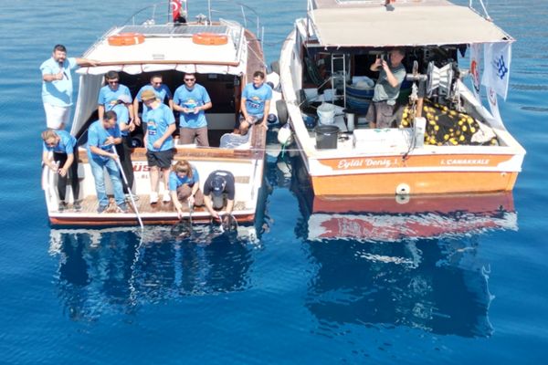 Eskişehir’de yetiştirilen 13 köpek balığı doğaya bırakıldı Eskişehir’de yetiştirilen 13 köpek balığı doğaya bırakıldı