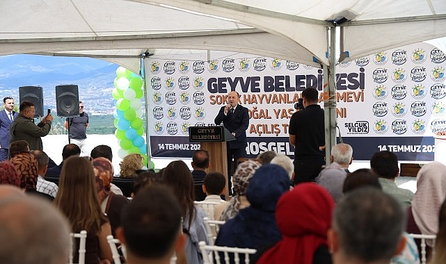 Geyve'de Sokak Hayvanları İçin de Yeni Dönem Başladı Geyve'de Sokak Hayvanları İçin de Yeni Dönem Başladı