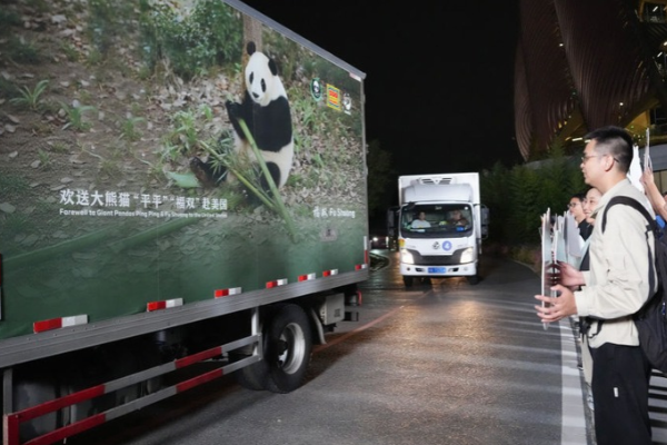 İki dev panda Çin’den ABD’ye yola çıktı İki dev panda Çin’den ABD’ye yola çıktı