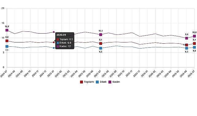 İşgücü İstatistikleri, Temmuz 2026 İşgücü İstatistikleri, Temmuz 2026
