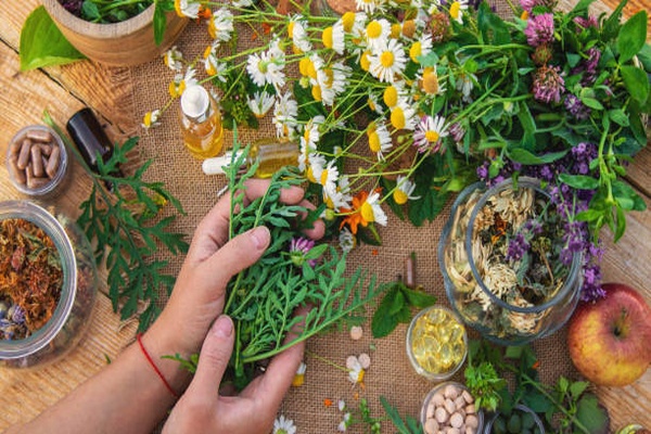 İstanbul’da 40 kadın tıbbi ve aromatik bitki yetiştiriciliği eğitimi aldı İstanbul’da 40 kadın tıbbi ve aromatik bitki yetiştiriciliği eğitimi aldı
