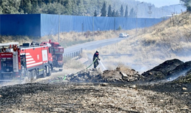 İzmir İtfaiyesi bukalemunu hayata döndürdü İzmir İtfaiyesi bukalemunu hayata döndürdü
