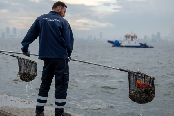 İzmir Körfezi’nden yılda bin 500 ton atık çıkarılıyor İzmir Körfezi’nden yılda bin 500 ton atık çıkarılıyor