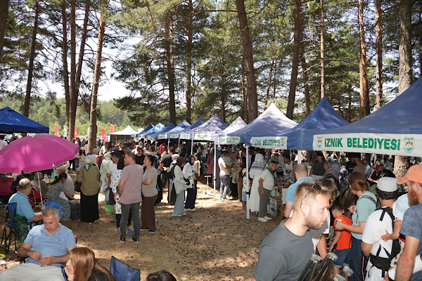 İznik’te 5. Maviyemiş Festivali düzenlendi İznik’te 5. Maviyemiş Festivali düzenlendi