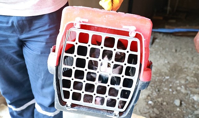 Kaçak Bina Yıkımında Hayat Kurtaran Müdahale Kaçak Bina Yıkımında Hayat Kurtaran Müdahale