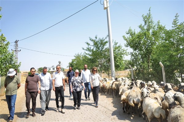 Kayapınar'da kırsal mahallelerde altyapı çalışmaları sürüyor Kayapınar'da kırsal mahallelerde altyapı çalışmaları sürüyor