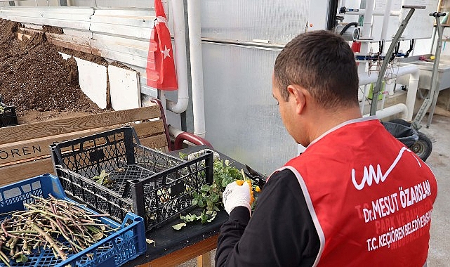 Keçiören Belediyesi Serasında Özel Bireyler İçin “Dijital Detoks" Etkinliği Keçiören Belediyesi Serasında Özel Bireyler İçin “Dijital Detoks" Etkinliği