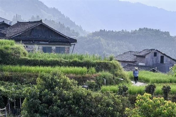 Kentli turistler ilçeleri tercih ederken çiftçiler kentlere akın ediyor Kentli turistler ilçeleri tercih ederken çiftçiler kentlere akın ediyor