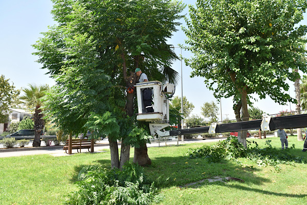 Kepez'de 43 yeni park ve 126 bin metrekareyi aşkın yeşil alan oluşturuldu
Kepez'de 43 yeni park ve 126 bin metrekareyi aşkın yeşil alan oluşturuldu