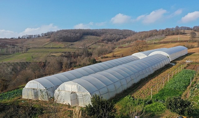 Kocaeli Büyükşehir, tarımı geleceğe taşıyor Kocaeli Büyükşehir, tarımı geleceğe taşıyor
