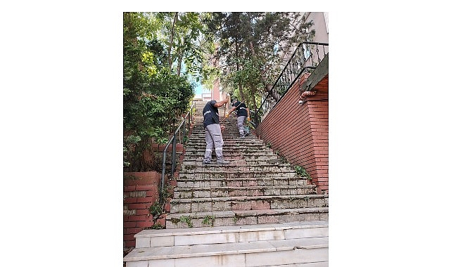 Maltepe Belediyesi'nden Altıntepe'de temizlik harekâtı Maltepe Belediyesi'nden Altıntepe'de temizlik harekâtı