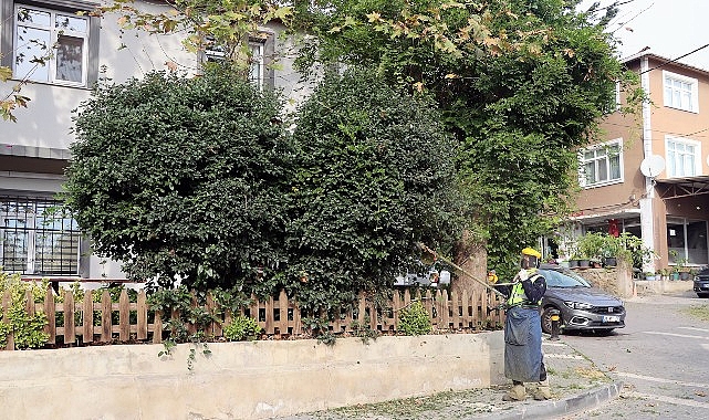 Maltepe Belediyesi'nden Büyükbakkalköy'de kapsamlı temizlik çalışması Maltepe Belediyesi'nden Büyükbakkalköy'de kapsamlı temizlik çalışması