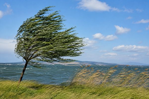 Marmara ve Ege’de kuvvetli rüzgar uyarısı Marmara ve Ege’de kuvvetli rüzgar uyarısı