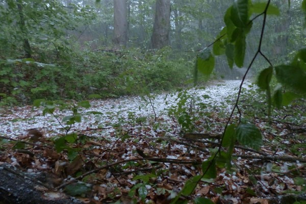 Meteoroloji’den kuvvetli yağış ve rüzgar uyarısı Meteoroloji’den kuvvetli yağış ve rüzgar uyarısı