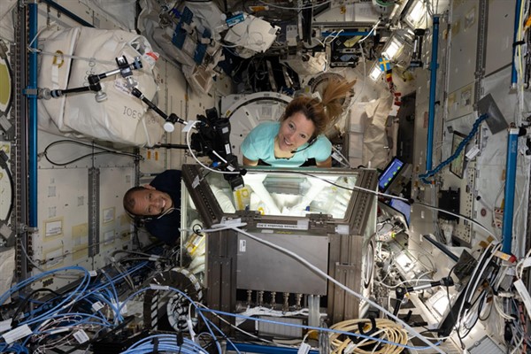 NASA: Williams'ın uzay görevi kanser tedavisi araştırmalarına katkı sağladı NASA: Williams'ın uzay görevi kanser tedavisi araştırmalarına katkı sağladı