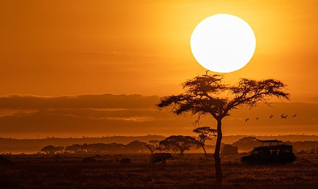 National Geographic NOW Seç-İzle Servisinin Ekim Ayı Teması 'Afrika'! National Geographic NOW Seç-İzle Servisinin Ekim Ayı Teması 'Afrika'!
