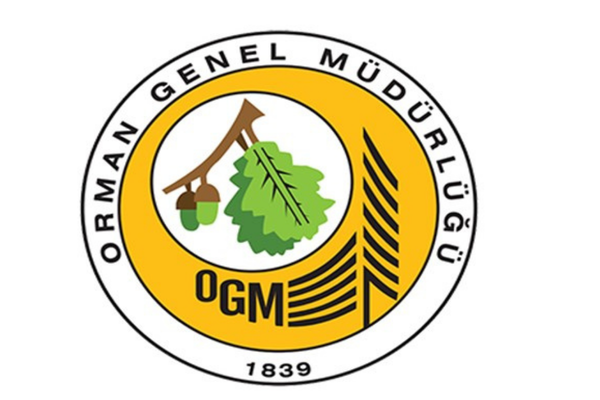 OGM: Antalya ve Muğla'daki orman yangınlarına müdahale sürüyor