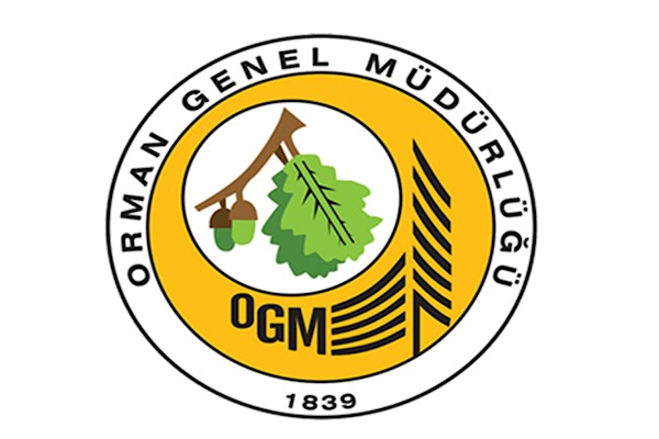 OGM: Bursa Nilüfer’de yangının enerjisi düşürüldü