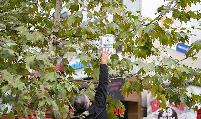 Sadece bu kentin ağaçları kitap açar Sadece bu kentin ağaçları kitap açar