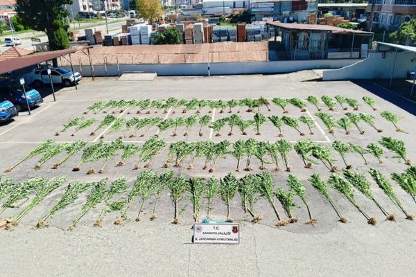 Sakarya’da uyuşturucu operasyonu: 75 gram bozai eve geçirildi Sakarya’da uyuşturucu operasyonu: 75 gram bozai eve geçirildi