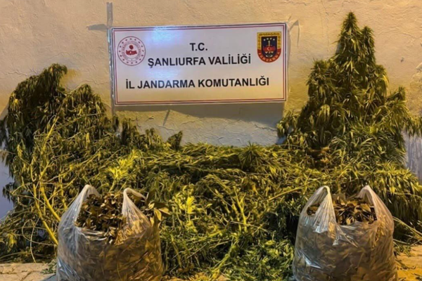 Şanlıurfa’da uyuşturucu operasyonları: Kenevir, esrar ve ruhsatsız tüfek ele geçirildi Şanlıurfa’da uyuşturucu operasyonları: Kenevir, esrar ve ruhsatsız tüfek ele geçirildi