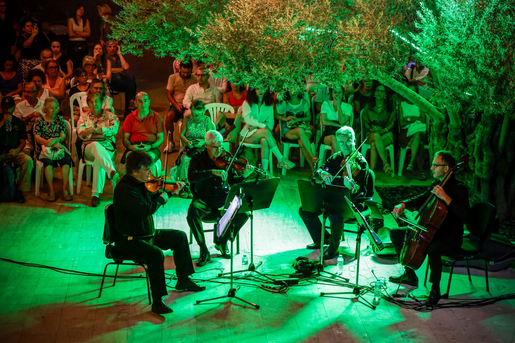 Somogyi Quartet, Zeytin Altında konserlerinde İzmirlilerle buluştu Somogyi Quartet, Zeytin Altında konserlerinde İzmirlilerle buluştu