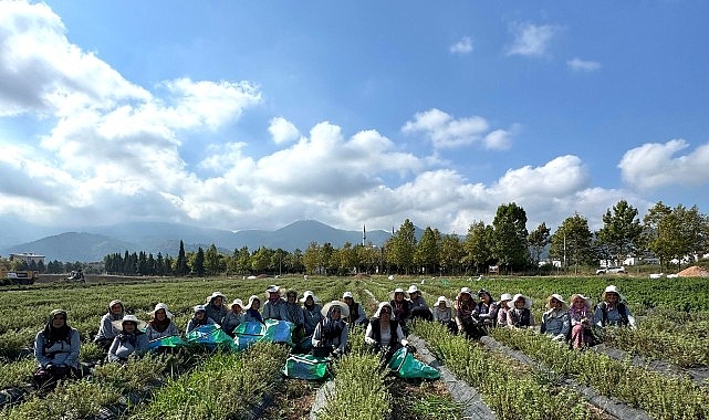 TABİP'te üretimden markalaşmaya uzanan hasat TABİP'te üretimden markalaşmaya uzanan hasat